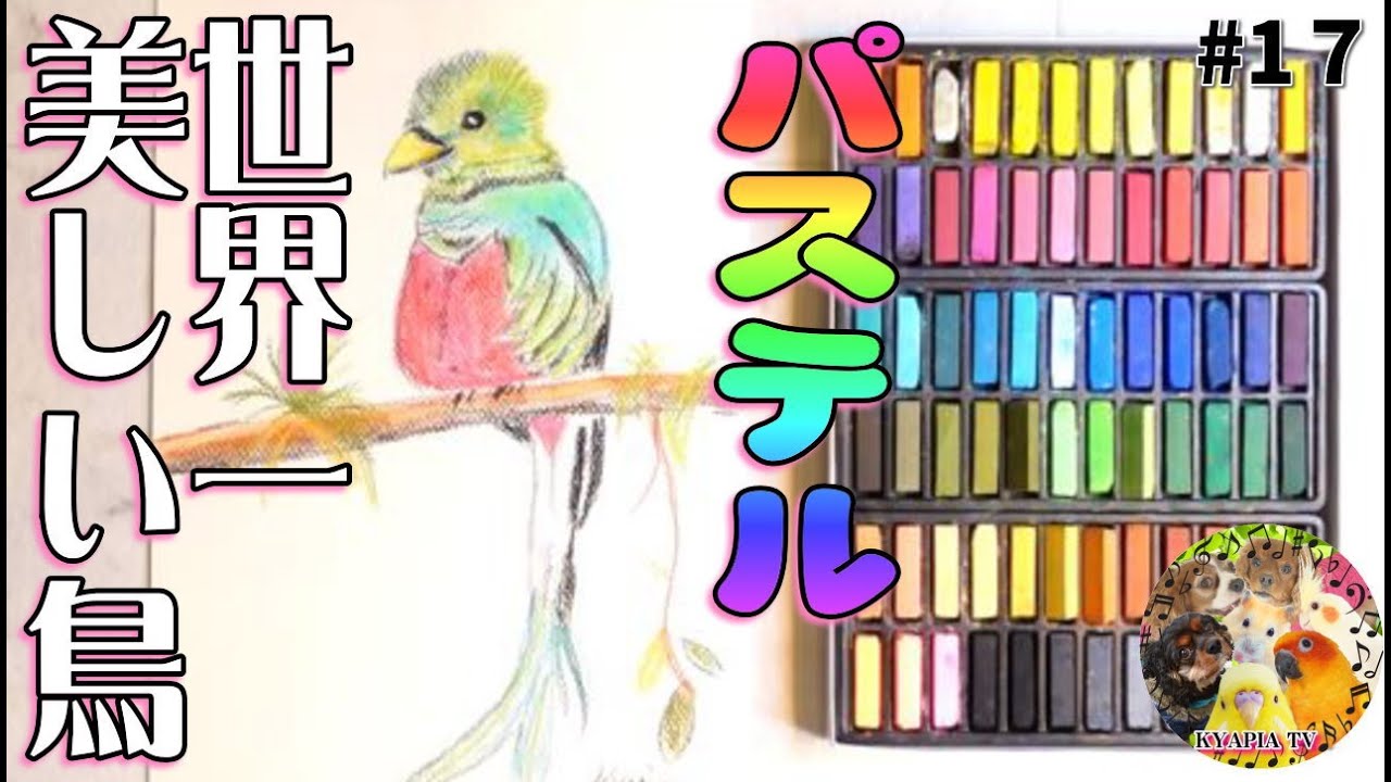 世界一美しい鳥「ケツァール」手塚治虫・火の鳥のモデル【パステル