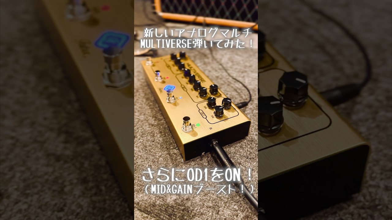 MULTIVERSE+ ギター アナログ マルチ センドリターン MULTIVERSE+