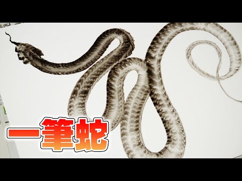 一筆龍ならぬ「一筆蛇」を描く様子の一部始終 - YouTube