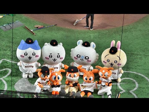 読売ジャイアンツ×ちいかわ コラボレーション 2024年8月20日 - YouTube