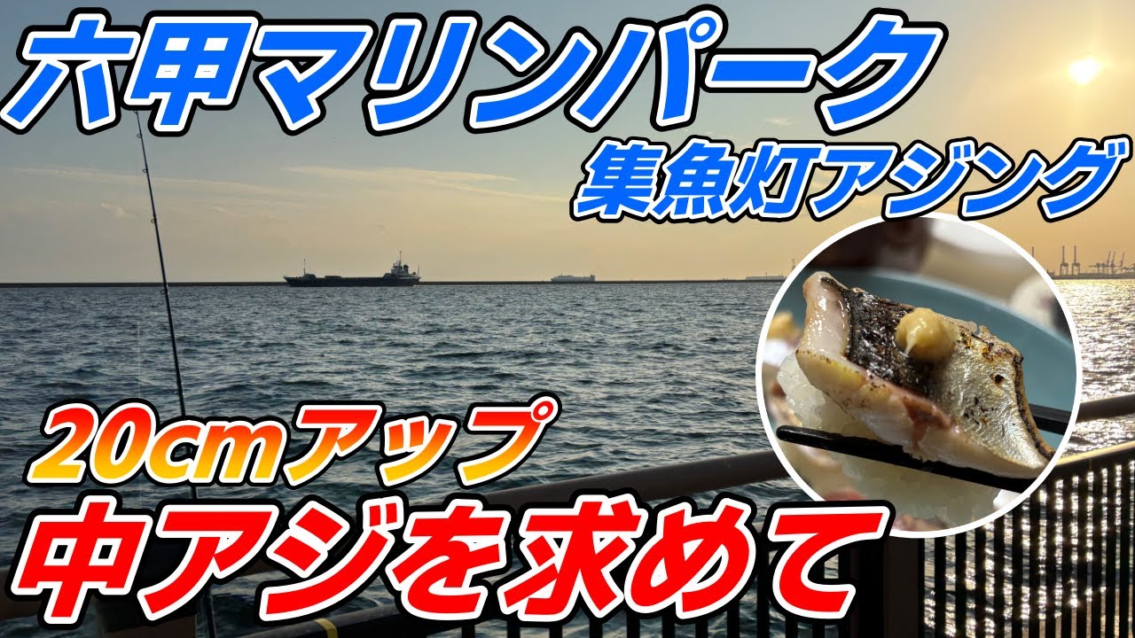 Rokko Marine Park] A tough day of horse mackerel fishing! From the