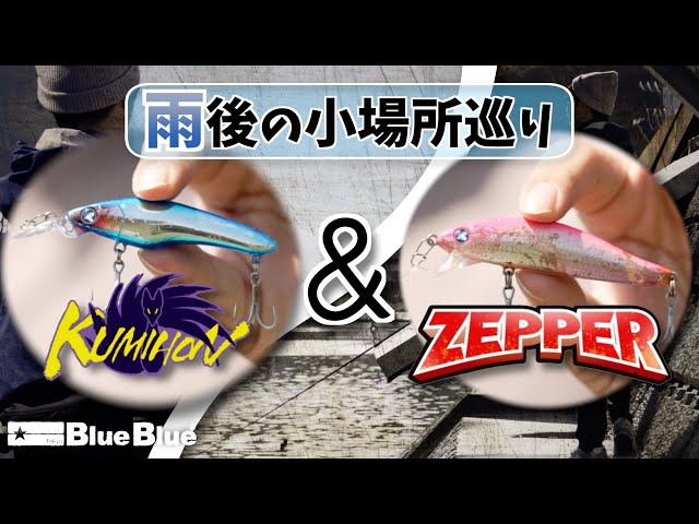 Technical Seabass Fishing Using Kumihon & Zepper - YouTube