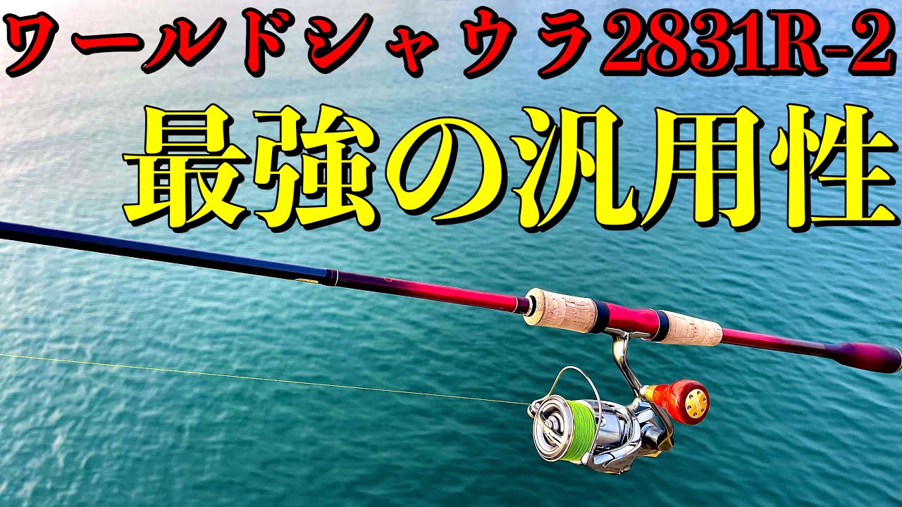 ワールドシャウラ2831R-2の長期使用インプレ - YouTube
