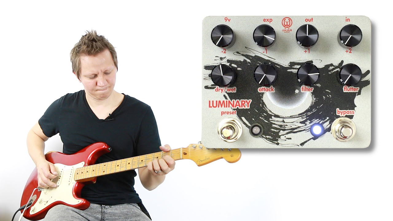 The Walrus Audio Luminary - A TPG Funky Find! ThePedalGuy - YouTube