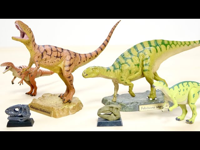 Fukui Prefectural Dinosaur Museum Limited Edition Big Dinosaur