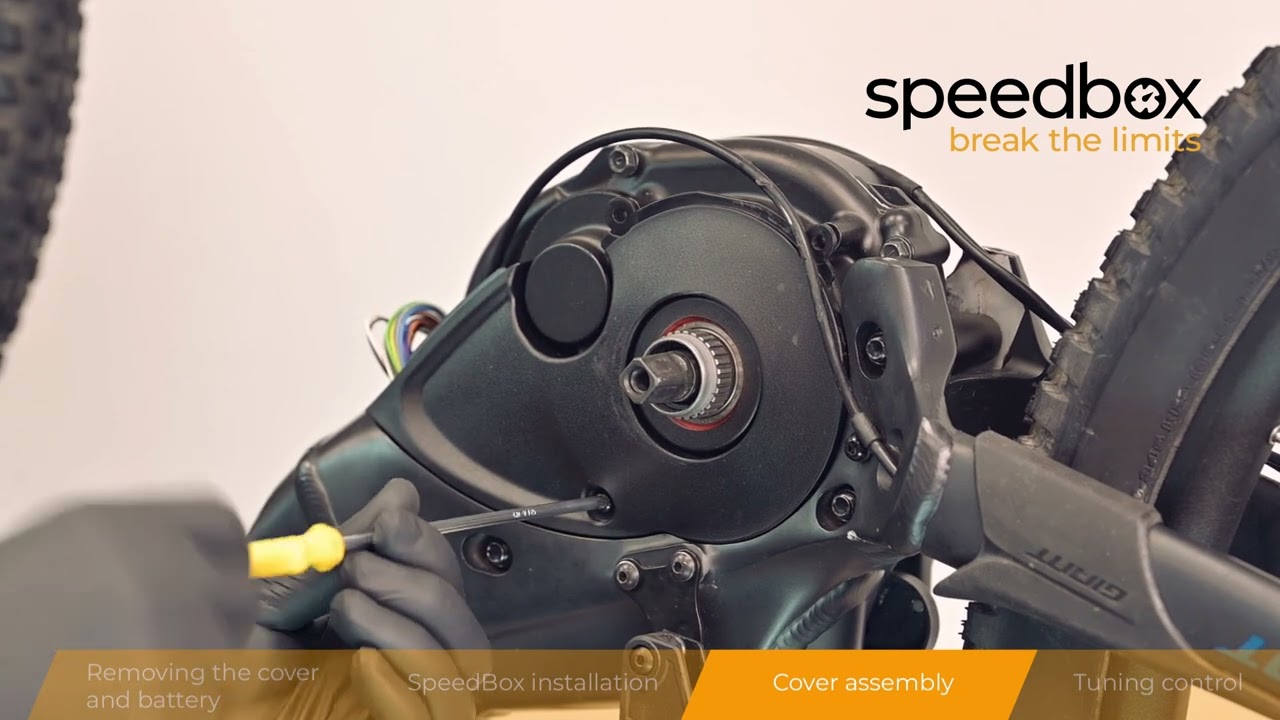 How to install SpeedBox 3.2 (B.Tuning) for Giant E-bikes with