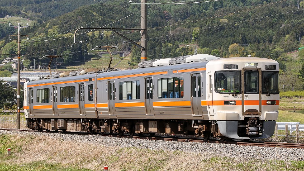 JR飯田線(CD) 1503M 伊那松島行き 313系1300番台 海カキR202編成 #飯田