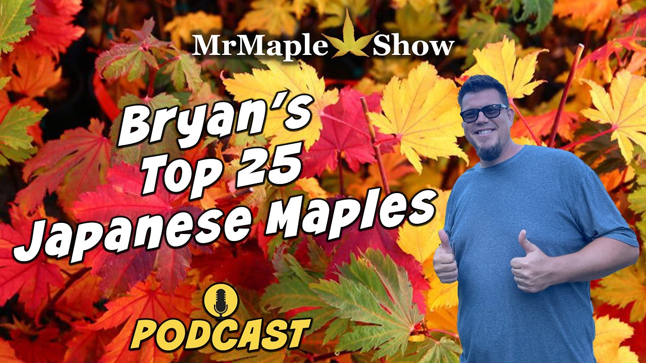 Bryan's Top 25 Japanese Maples | MrMaple Show Podcast - YouTube