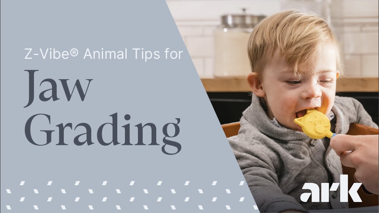 ARK's Z-Vibe Animal Critters Travel Kit | Sensory Oral Motor | ARK