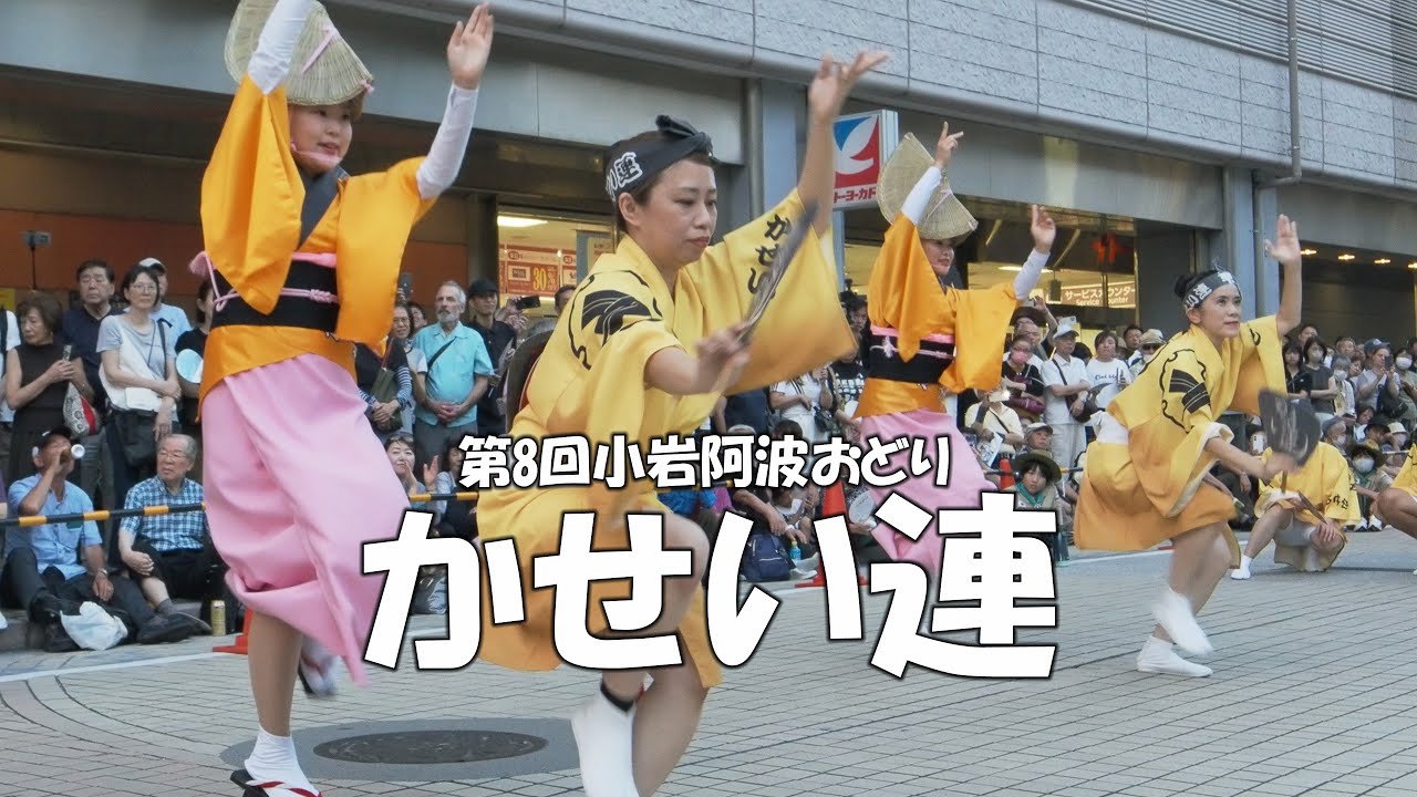 阿波踊りの鉦 スター印 24号 蔓 撞木5本 帯座 セット 阿波踊りの鉦