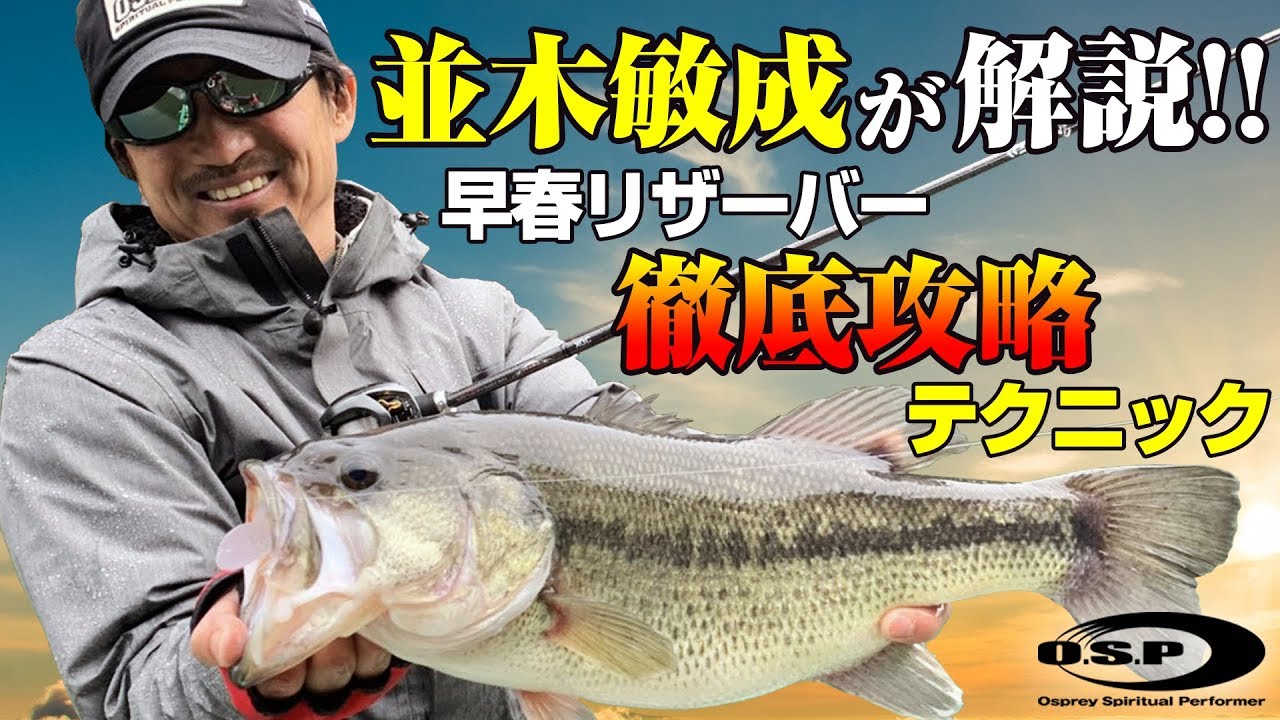 並木敏成ハイピッチャー徹底解説】スピナーベイトに最適なタックル選び