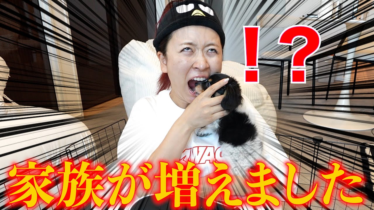 同棲します】俺がお前を守るから. - YouTube