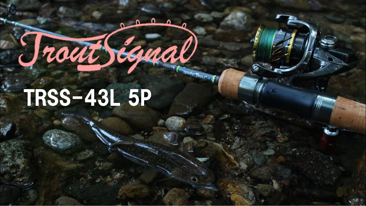 TRSS-43L_5P] Trout Signal Analysis & Fishing Review - YouTube