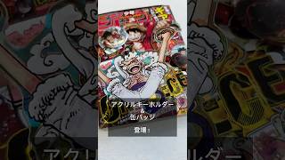 GEARを上げよう↗『ONE PIECE』オーロラアクリルキーホルダー