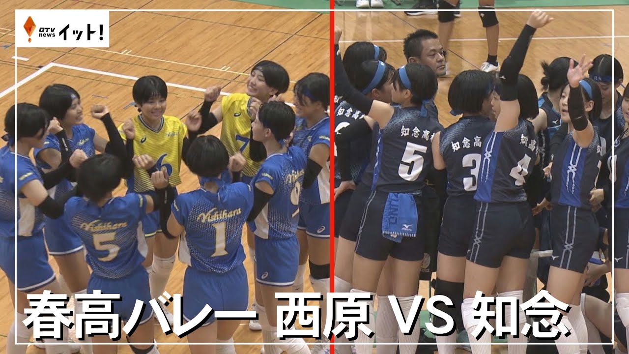 All Japan interhigh volleyball ノースリーブ 春高 All Japan