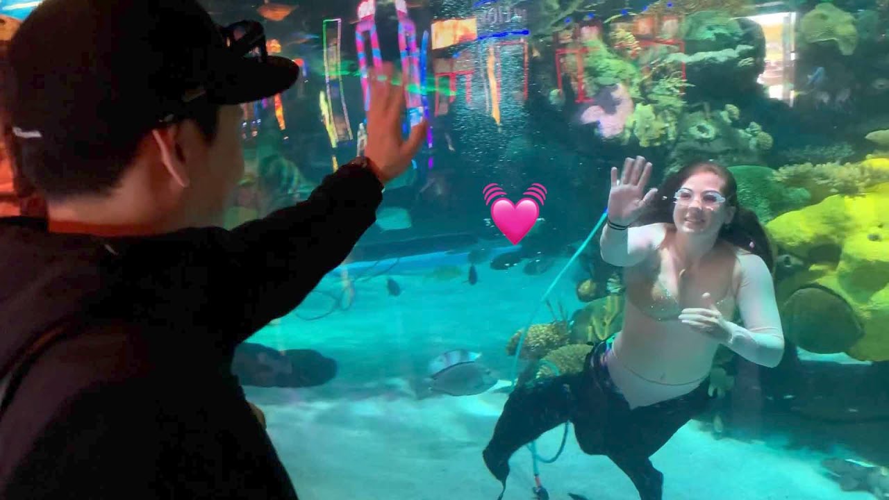 バスプロショップは夢の国！！ - YouTube