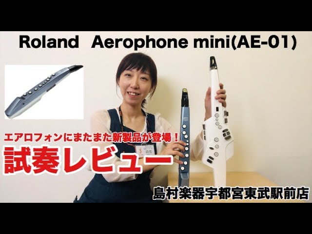 島村楽器FKD宇都宮店】エアロフォン新製品！Roland/Aerophone mini(AE