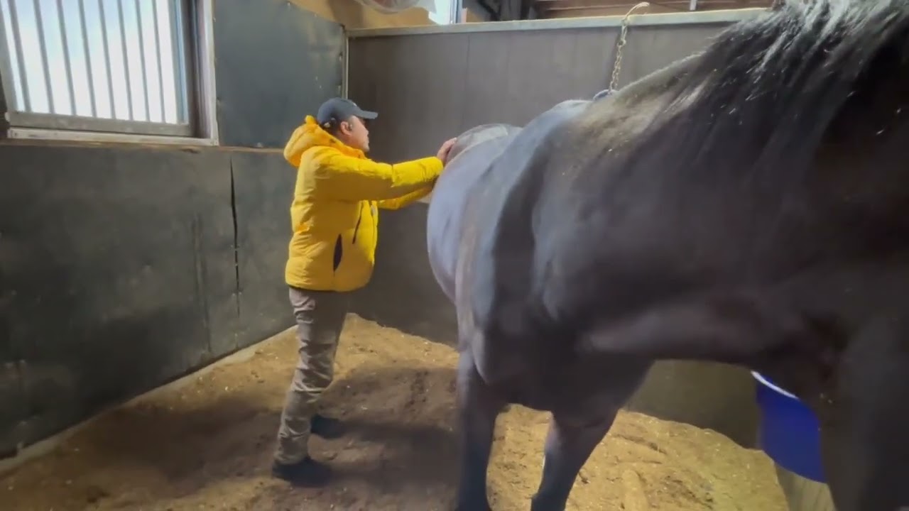 的場文男 的馬券 マトバケン 二枚セット 的場文男 的馬券 マトバケン 二
