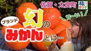 Only available locally!?] I'm captivated by the mythical mandarin