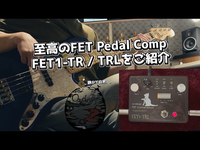 FET1-TR / TRL Pedal compressor -Bassist Futoshi Sakai demonstrated