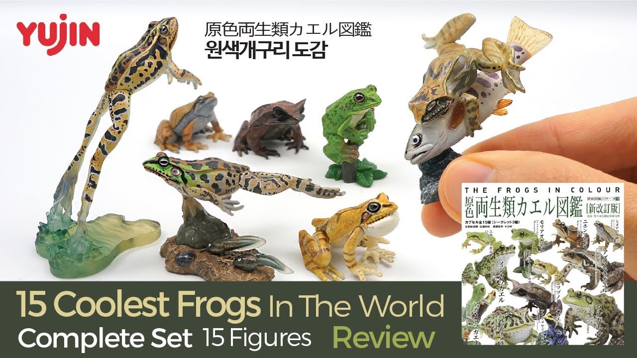 15 Coolest Frogs In The World / 原色両生類カエル図鑑 / 유진 원색