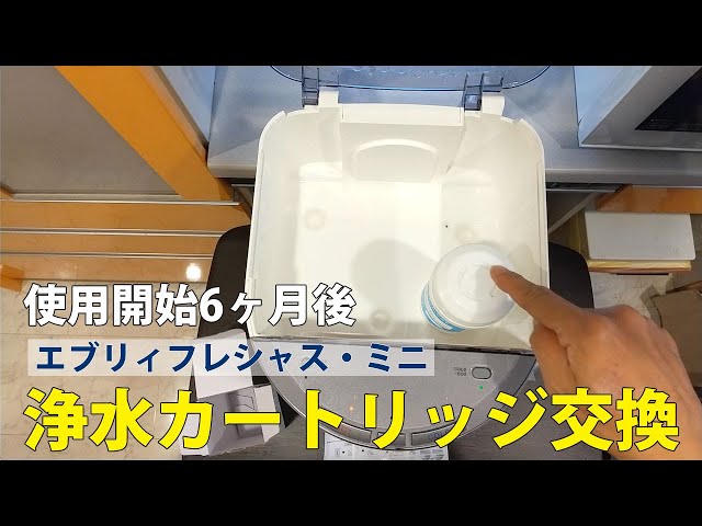 エブリィフレシャス・ミニ使用開始から6ヶ月後のフィルター