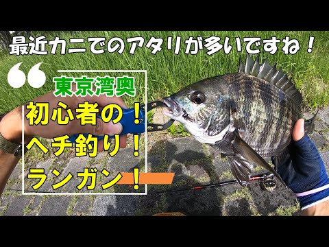 ヘチ釣りダイワ新竿 小継飛竜2-33MP -N入魂！最近カニでのアタリが多い