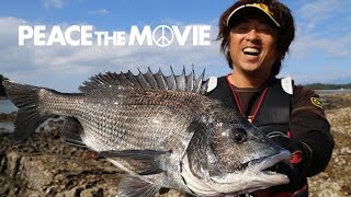 PEACE THE MOVIE #36「湾内ほんわかチヌ釣り」九州地方 熊本県・天草の