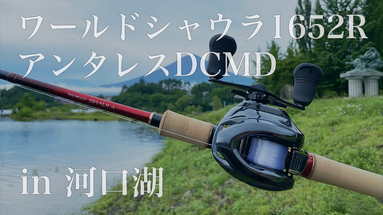 バス釣り】夏の河口湖でシマノ ワールドシャウラ1652R-3 ＆ アンタレス