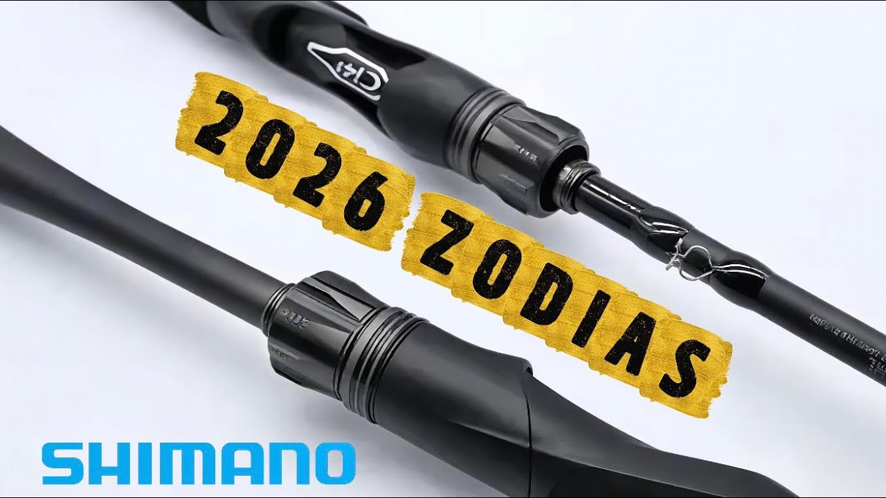2026 SHIMANO ZODIAS | FIRST LOOK - YouTube