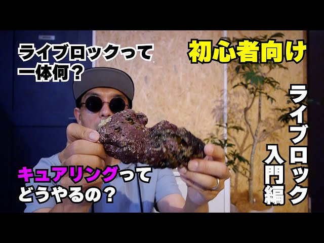 初心者向けライブロック入門 - YouTube