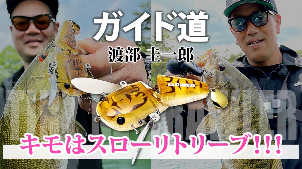 Slow is the key! Tiny NZ Crawler / deps Keiichiro Watanabe Guide