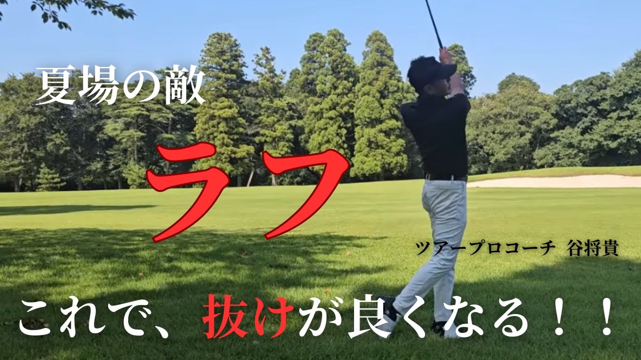 ゴルフ ツアープロコーチ谷将貴 DVD 12枚組セット ゴルフ ツアープロ