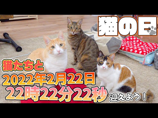 sddefault.jpg?v=62145bb7