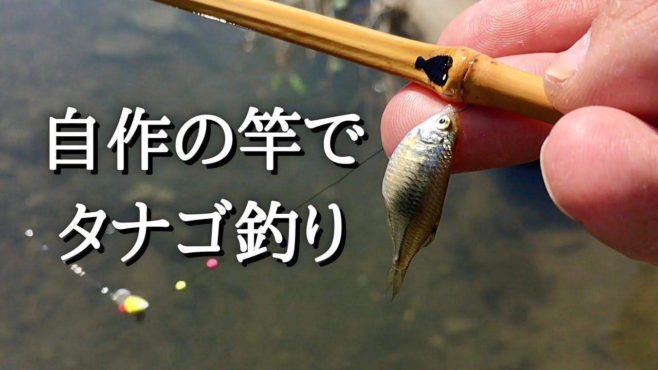 micro fishing in JAPAN】Fishing with the handmade bamboo rod