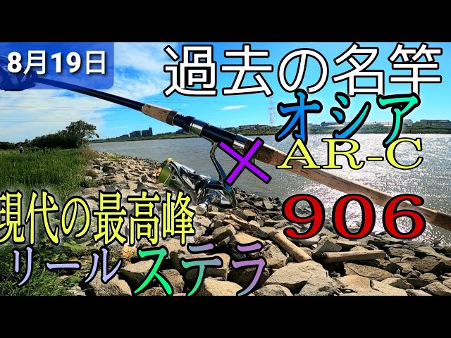 名竿!オシアAR-C✕ステラ3000MHG今日の旧江戸川シーバスフィッシング