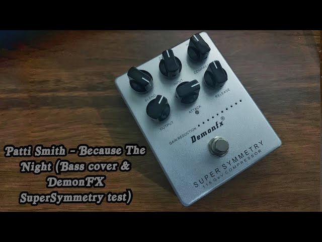 Patti Smith - Because The Night (Bass cover & DemonFX