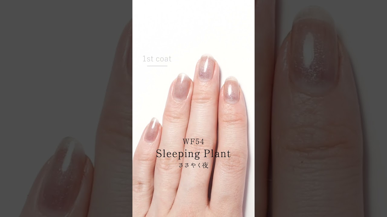 販売終了】HOMEI ウィークリージェル WF54 Sleeping Plant