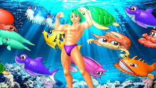 SANYO 海物語 SEA STORY 15th Anniversary SANYO 海物語 SEA STORY