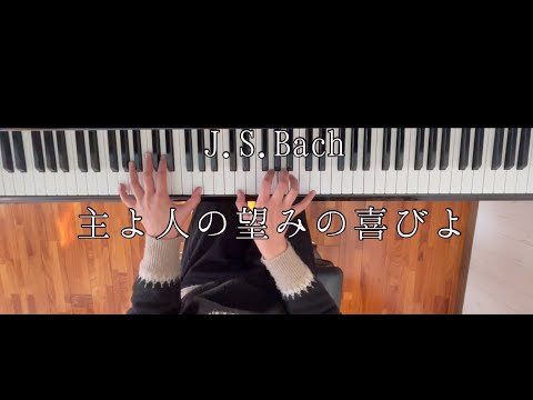 J.S.Bach 主よ人の望みの喜びよ - YouTube