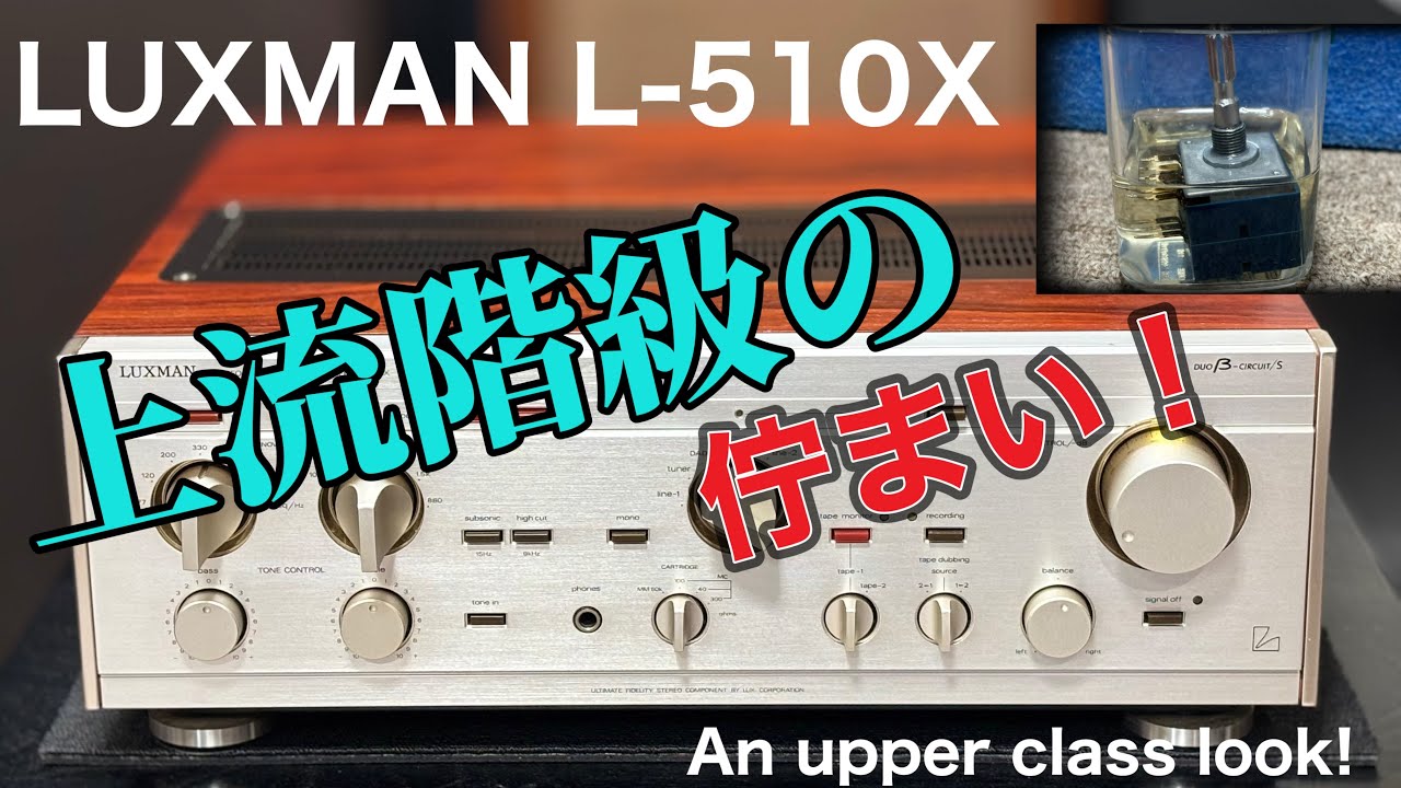 □見るからに上品さがただよう姿に感動した！ I was impressed by how