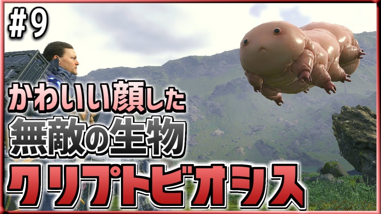 無敵の生物】かわいい顔した食べられる謎の生き物｢クリプトビオシス