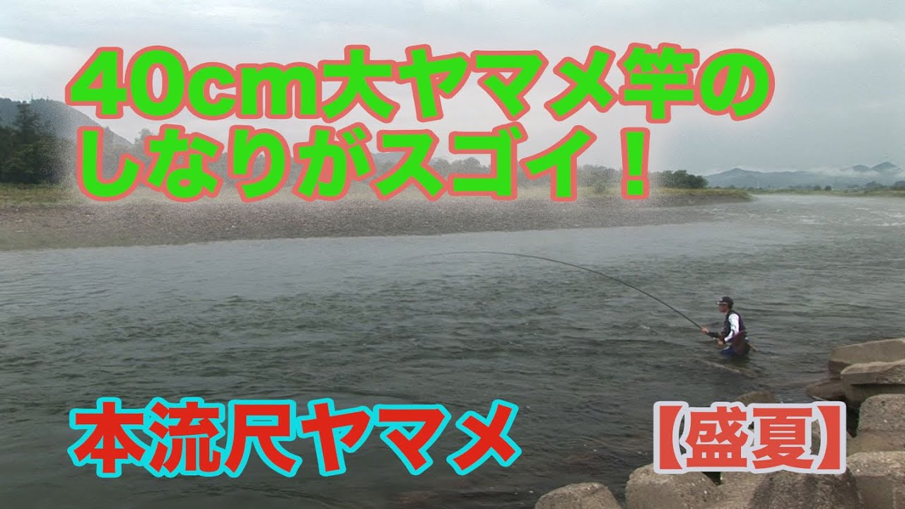井上聡 本流尺ヤマメ 【盛夏】40cm大ヤマメ竿のしなりがスゴイ！ - YouTube