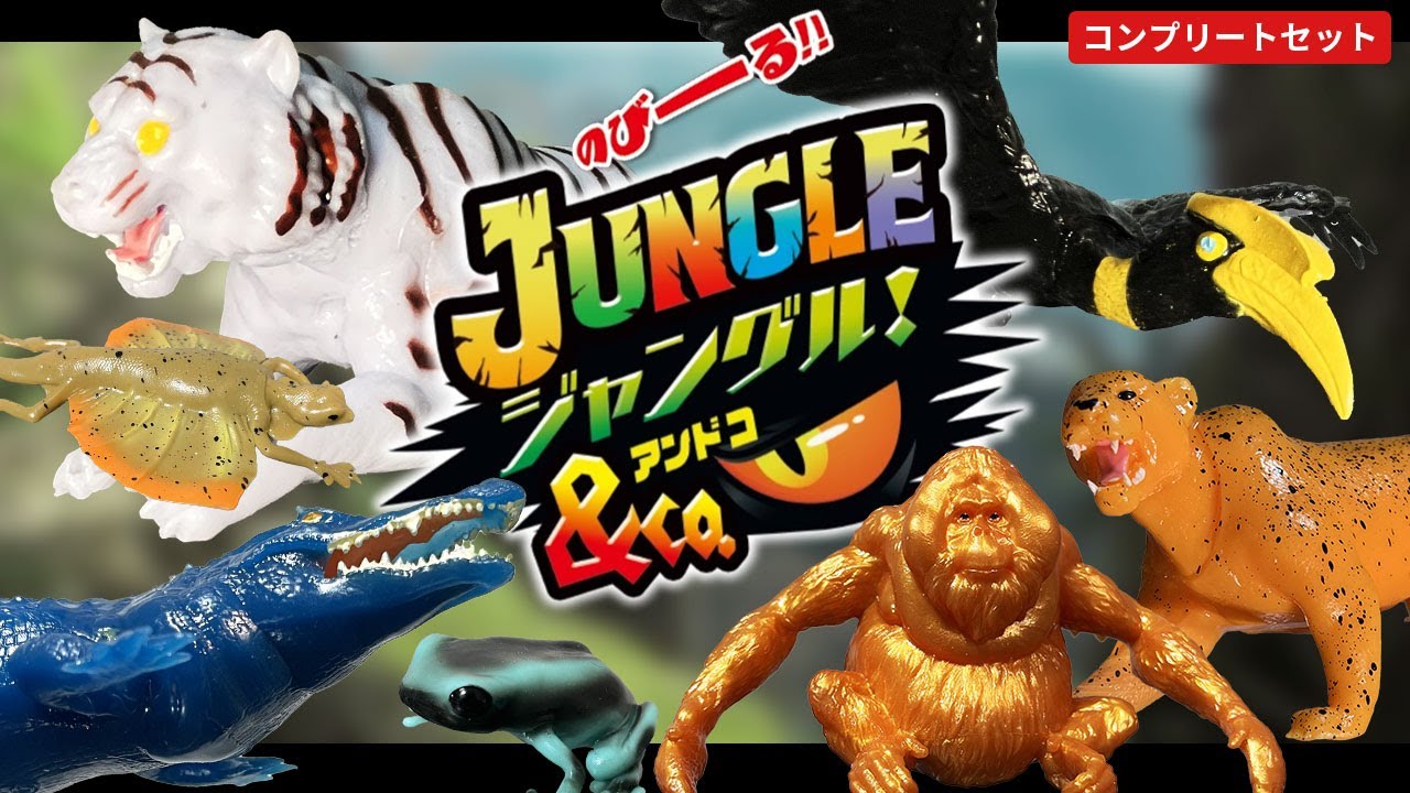 Unboxing the Jungle & Co. Complete Set! [DeAGOSTINI] - YouTube