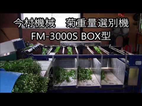今村機械 菊重量選別機 FM-3000S BOX型 Small chrysanthemum/Cut the