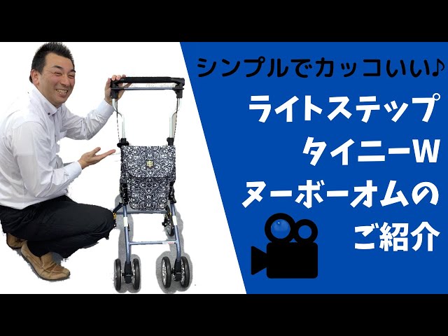 シンプルでカッコイイシルバーカー【ライトステップタイニーWヌーボー