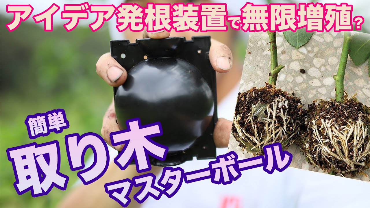 How to take root using an easy rooting device: What's the easiest