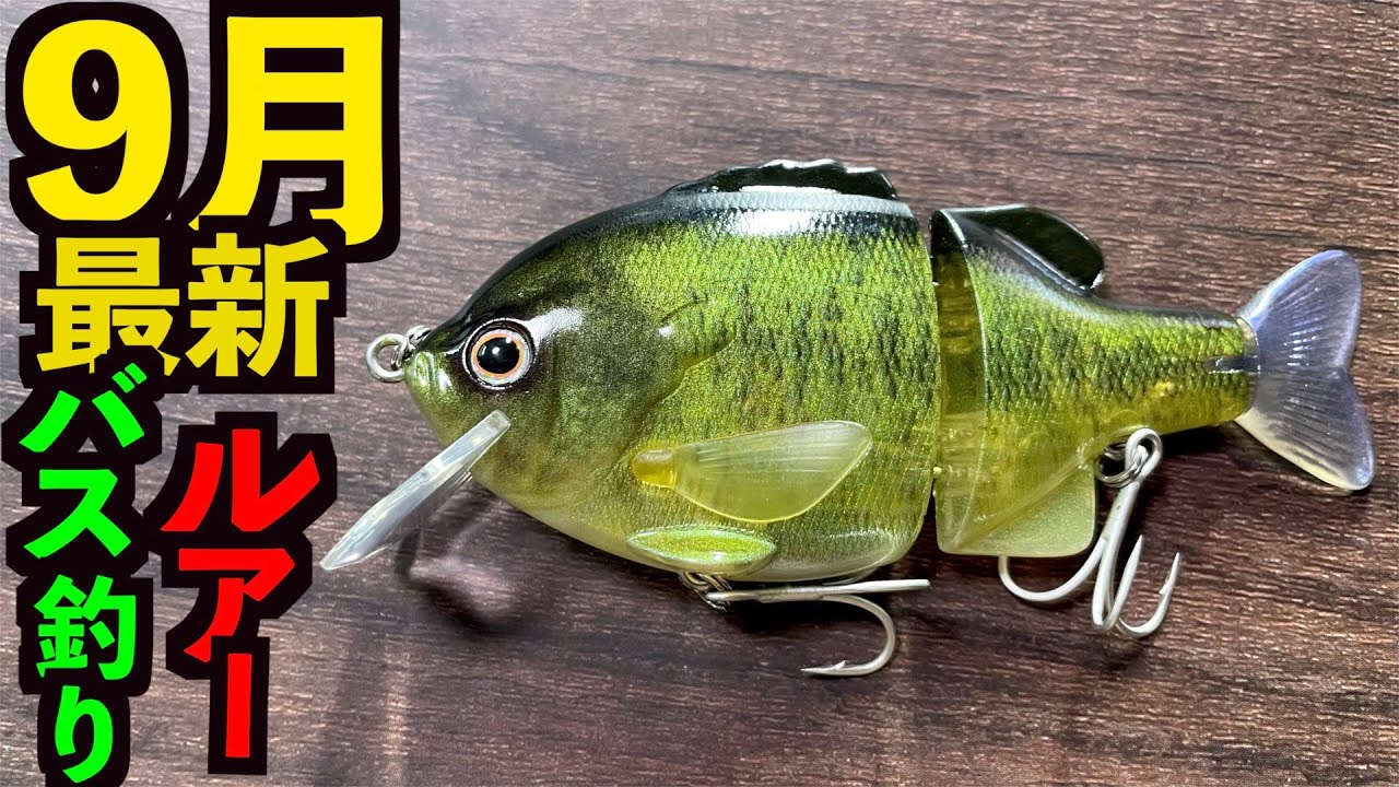 バス釣り】9月最新秋の買って良かったバス釣りルアー達。 - YouTube