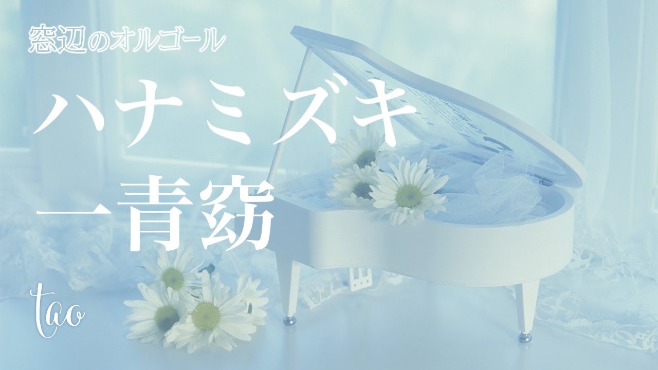オルゴール♫ 「ハナミズキ」/ 一青窈 fullsize - YouTube