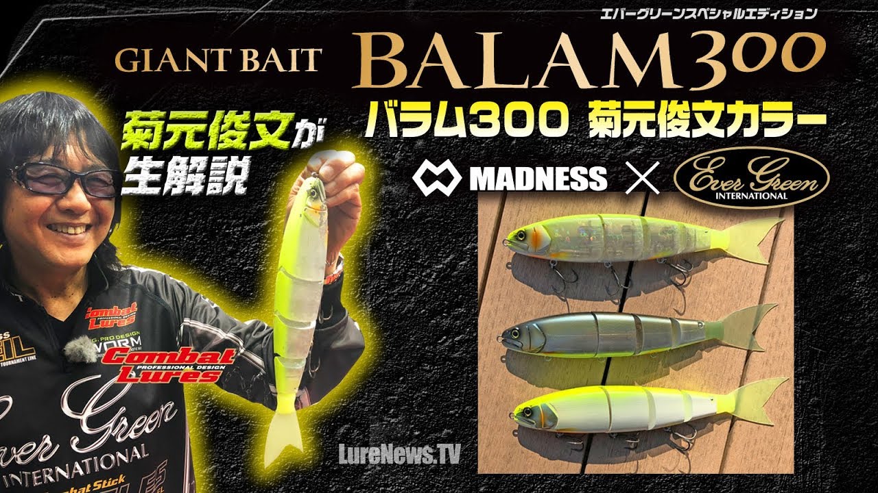 Balam 300 Kikumoto Toshifumi color [Madness x Evergreen] Kikumoto